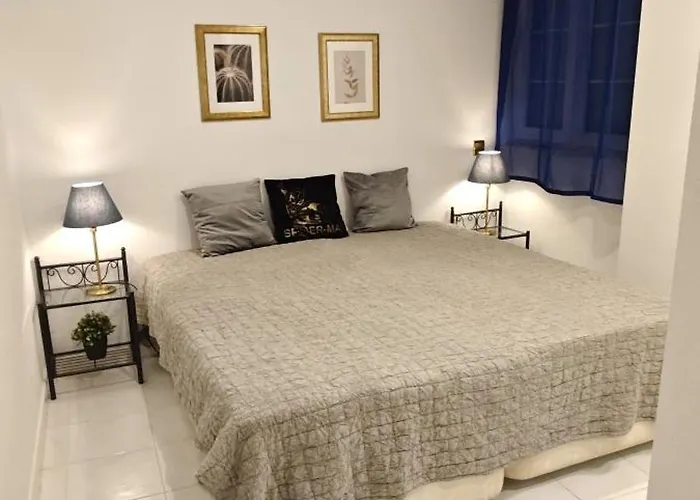 Citycenter Locosbeach 50m Exclusive * 托雷维耶哈